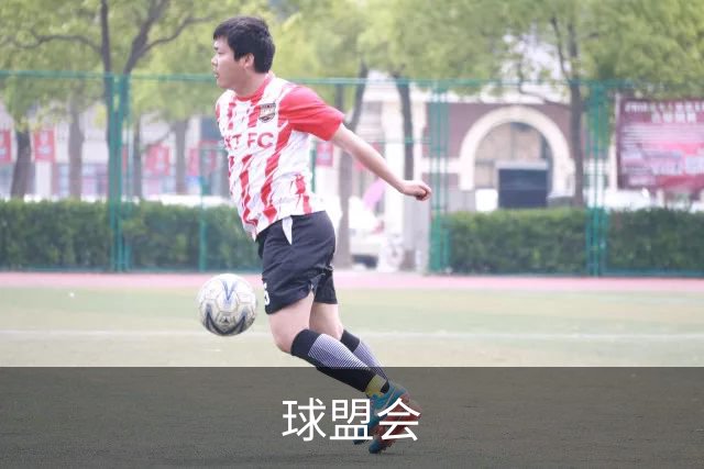 球盟会公司介绍